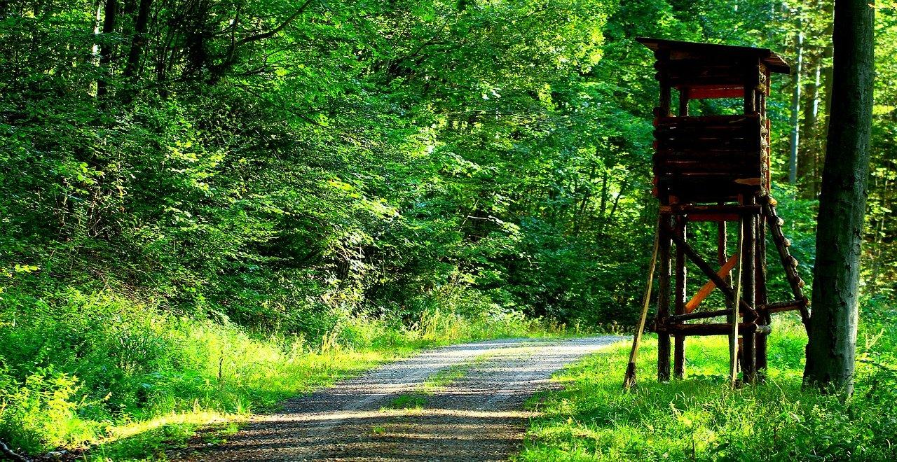 Trabaja como Guarda Rural